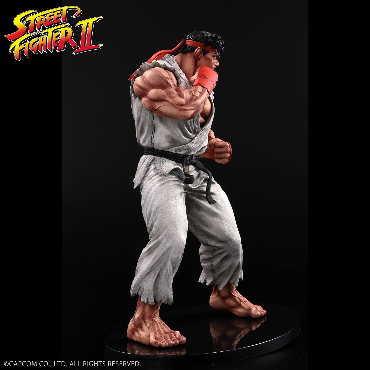 THE KING OF COLLECTORS'24 No.9 リュウ(通常カラー)【予約商品】