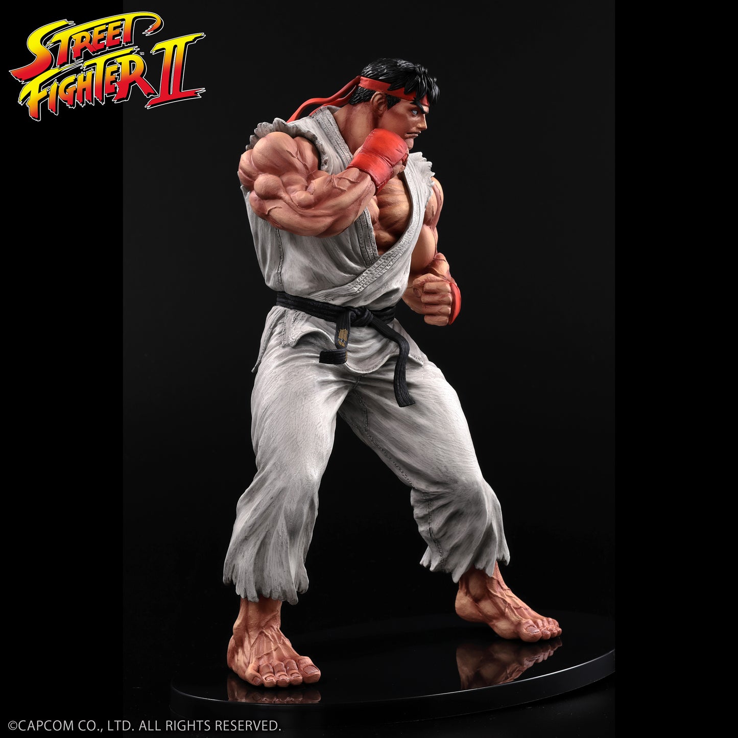 THE KING OF COLLECTORS'24 No.9 リュウ(通常カラー)【予約商品】