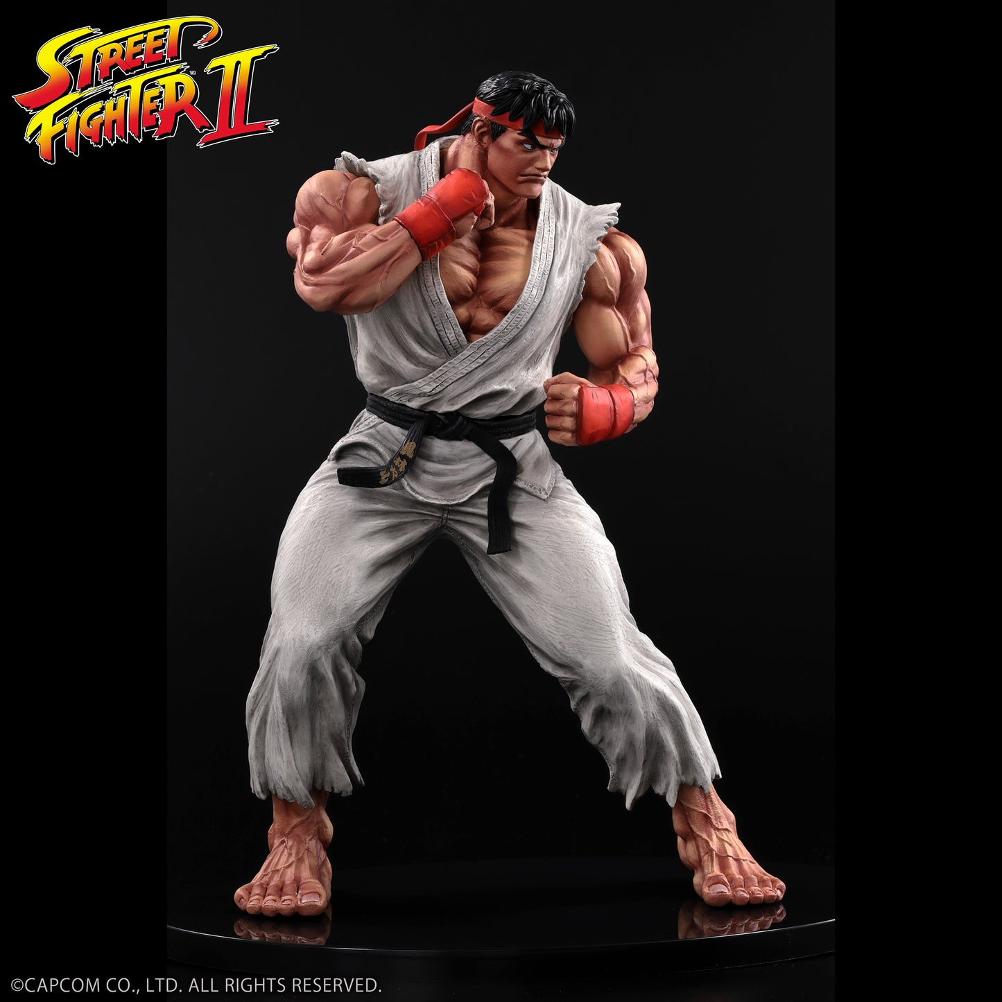 THE KING OF COLLECTORS'24 No.9 リュウ(通常カラー)【予約商品】