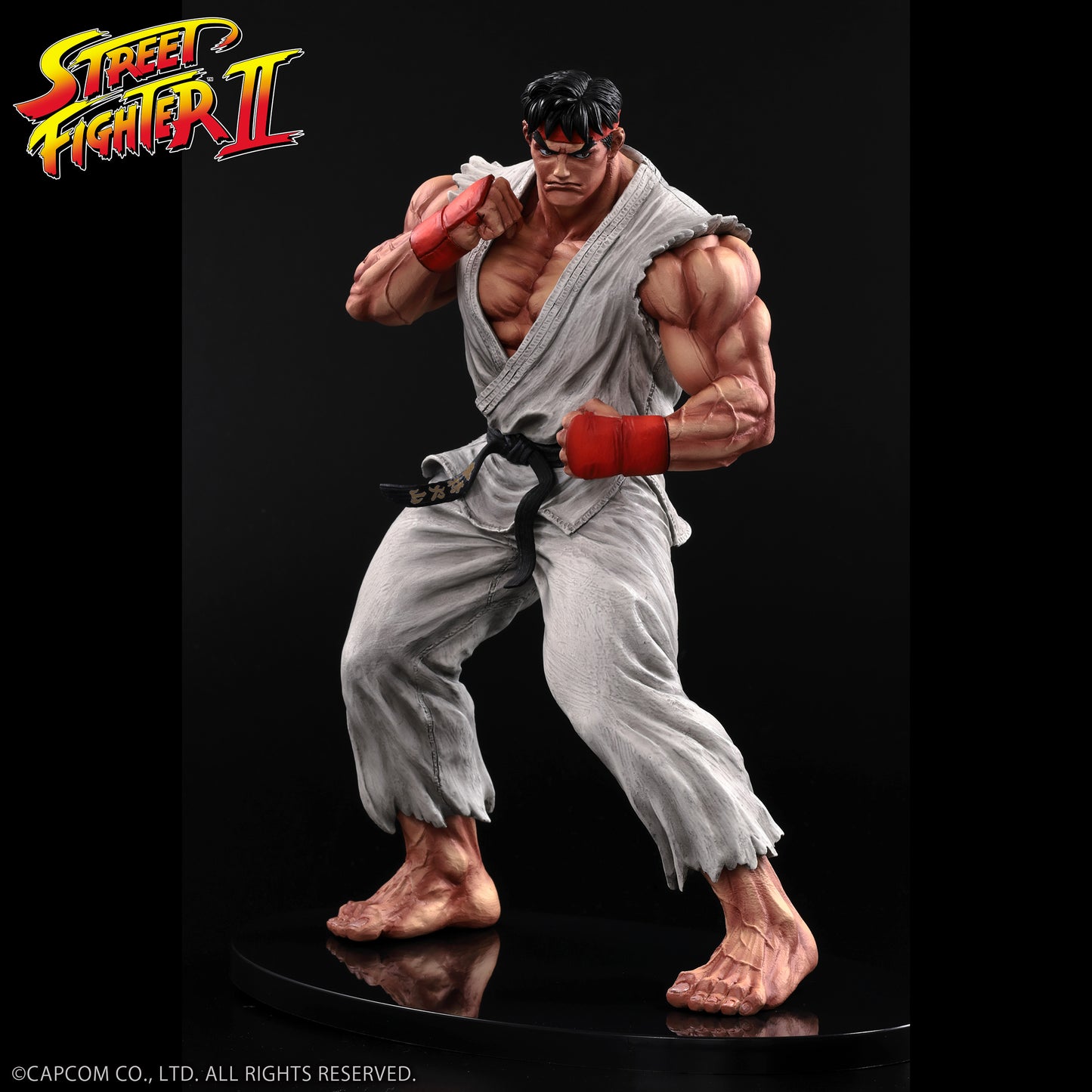 THE KING OF COLLECTORS'24 No.9 リュウ(通常カラー)【予約商品】