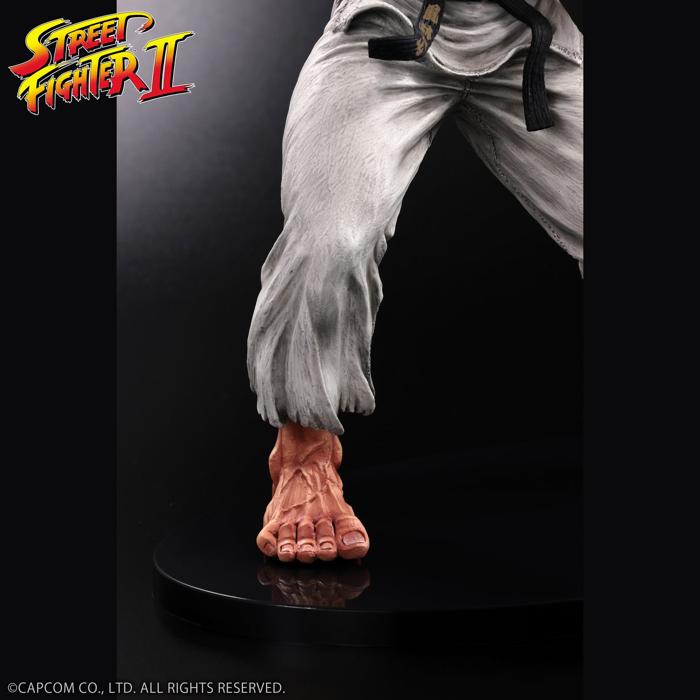 THE KING OF COLLECTORS'24 No.9 リュウ(通常カラー)【予約商品】