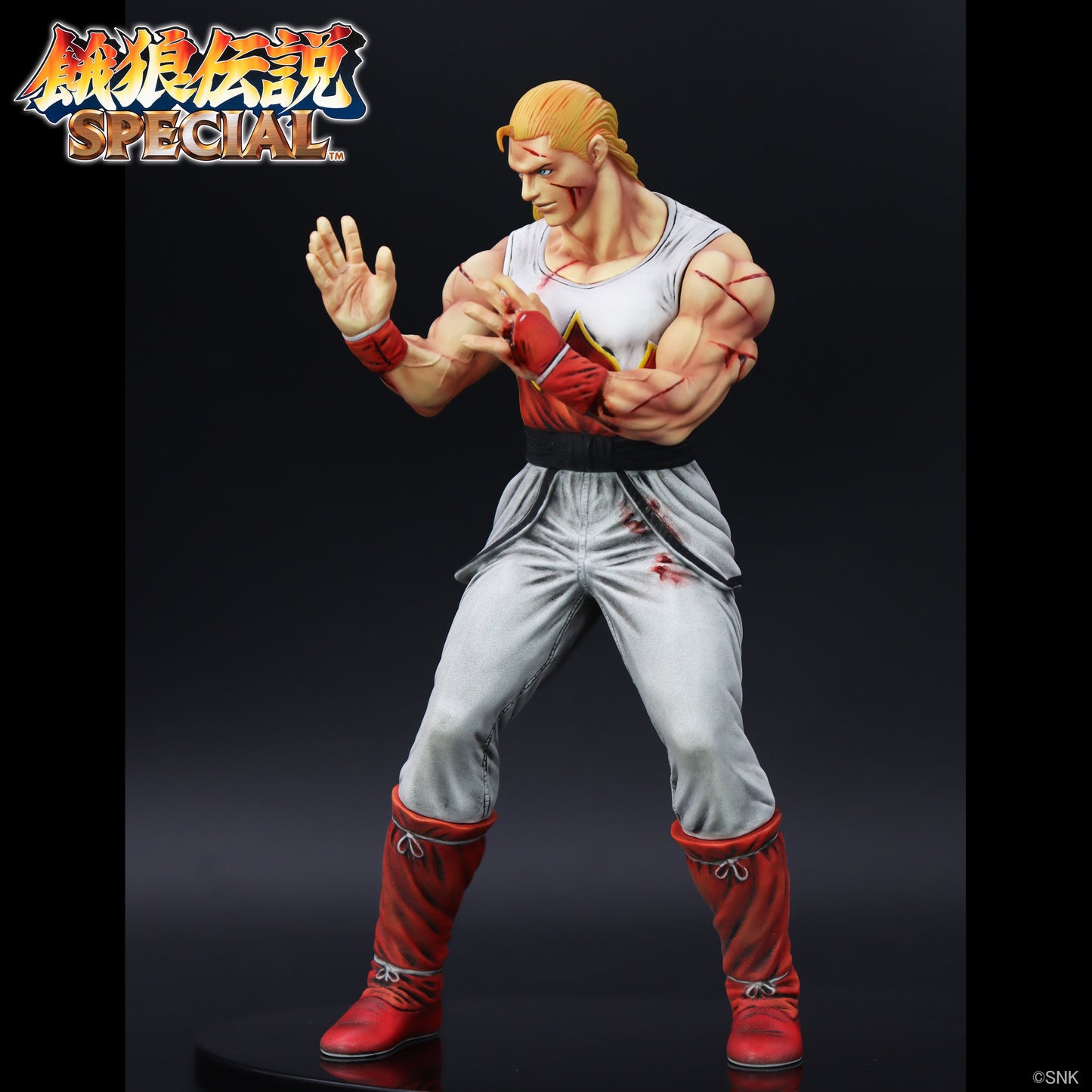 THE KING OF COLLECTORS'24 EX アンディ・ボガード(HGダメージVer.)【予約商品】