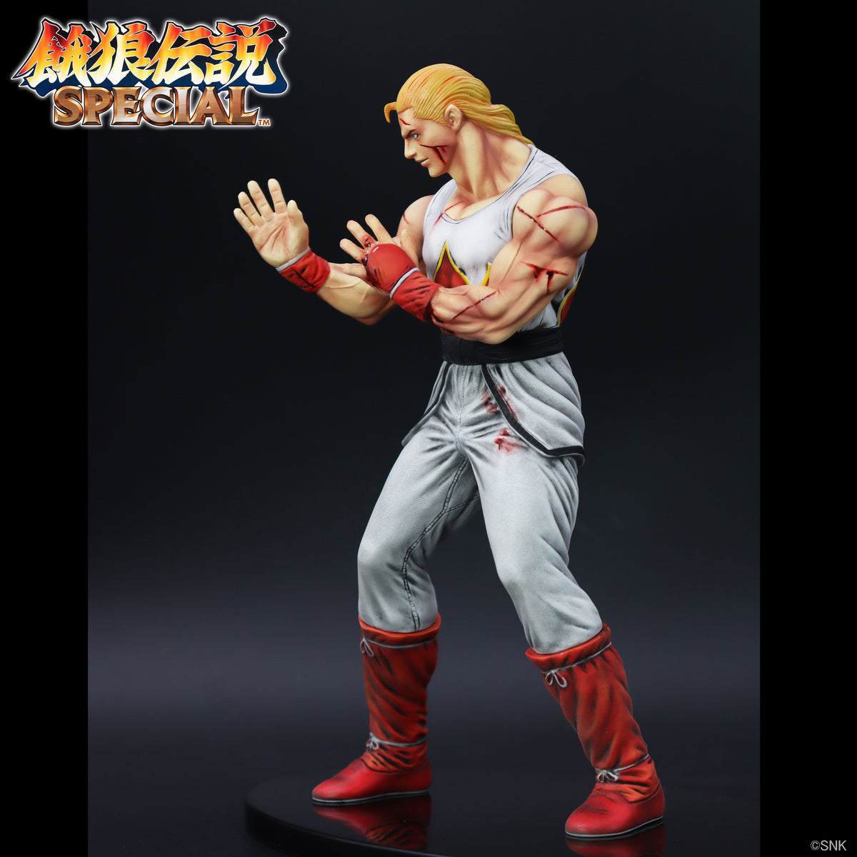 THE KING OF COLLECTORS'24 EX アンディ・ボガード(HGダメージVer.)【予約商品】