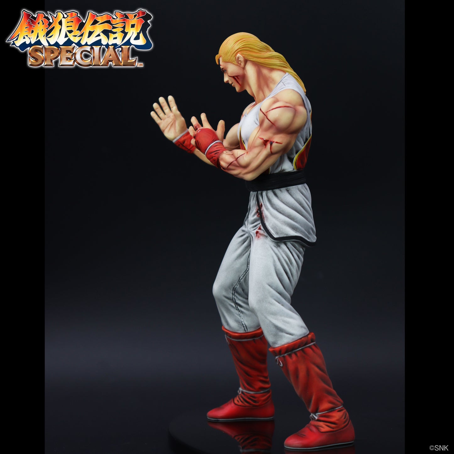 THE KING OF COLLECTORS'24 EX アンディ・ボガード(HGダメージVer.)【予約商品】