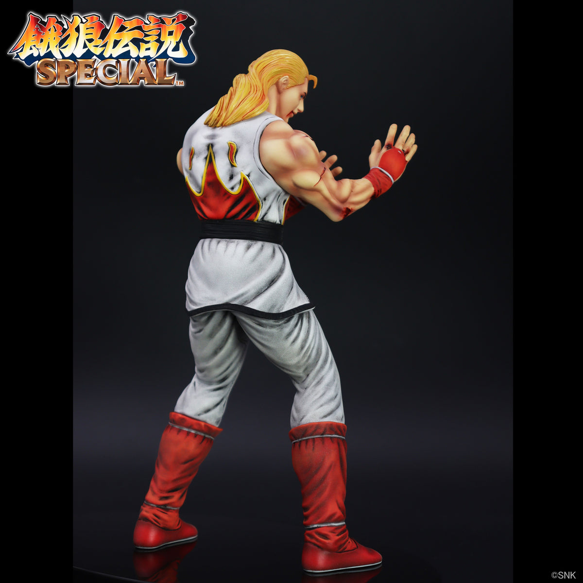 THE KING OF COLLECTORS'24 EX アンディ・ボガード(HGダメージVer.)【予約商品】