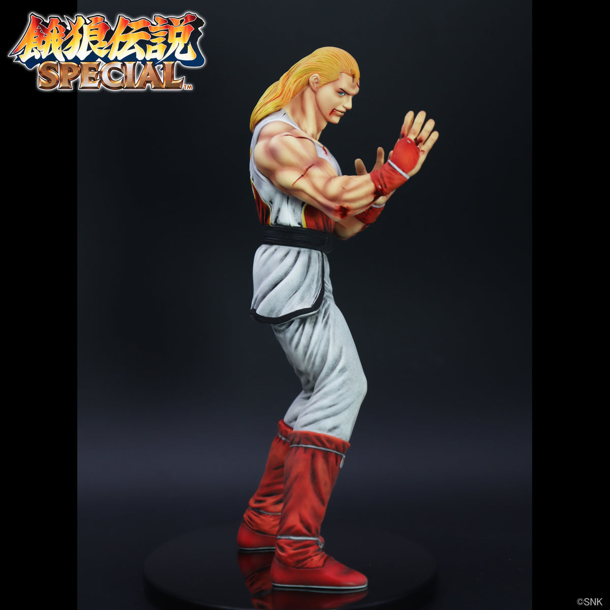THE KING OF COLLECTORS'24 EX アンディ・ボガード(HGダメージVer.)【予約商品】
