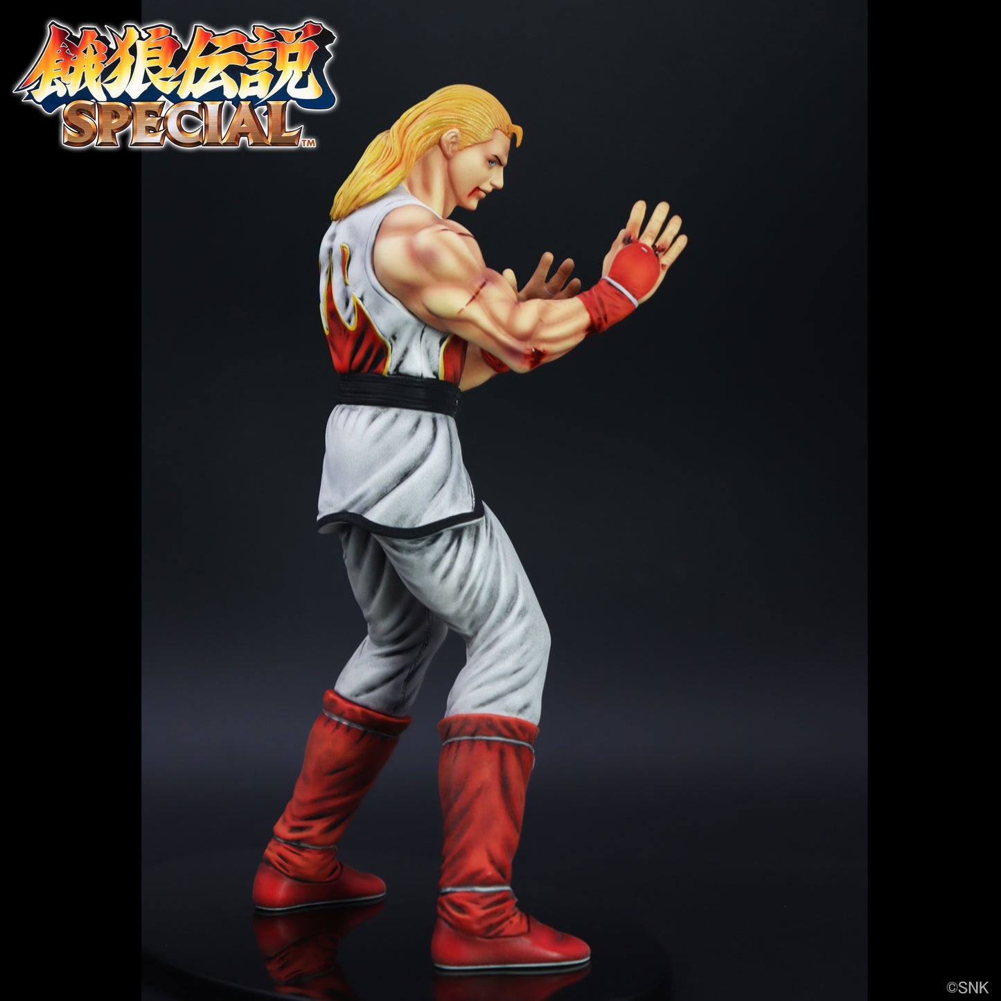 THE KING OF COLLECTORS'24 EX アンディ・ボガード(HGダメージVer.)【予約商品】