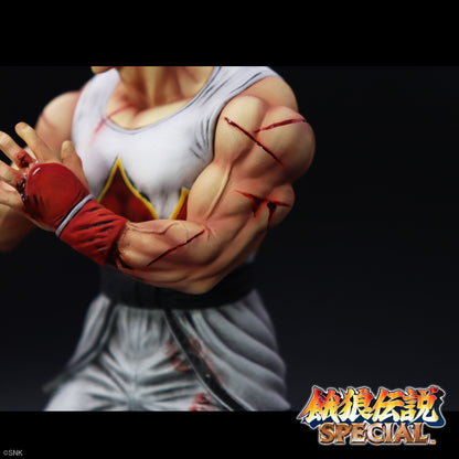 THE KING OF COLLECTORS'24 EX アンディ・ボガード(HGダメージVer.)【予約商品】