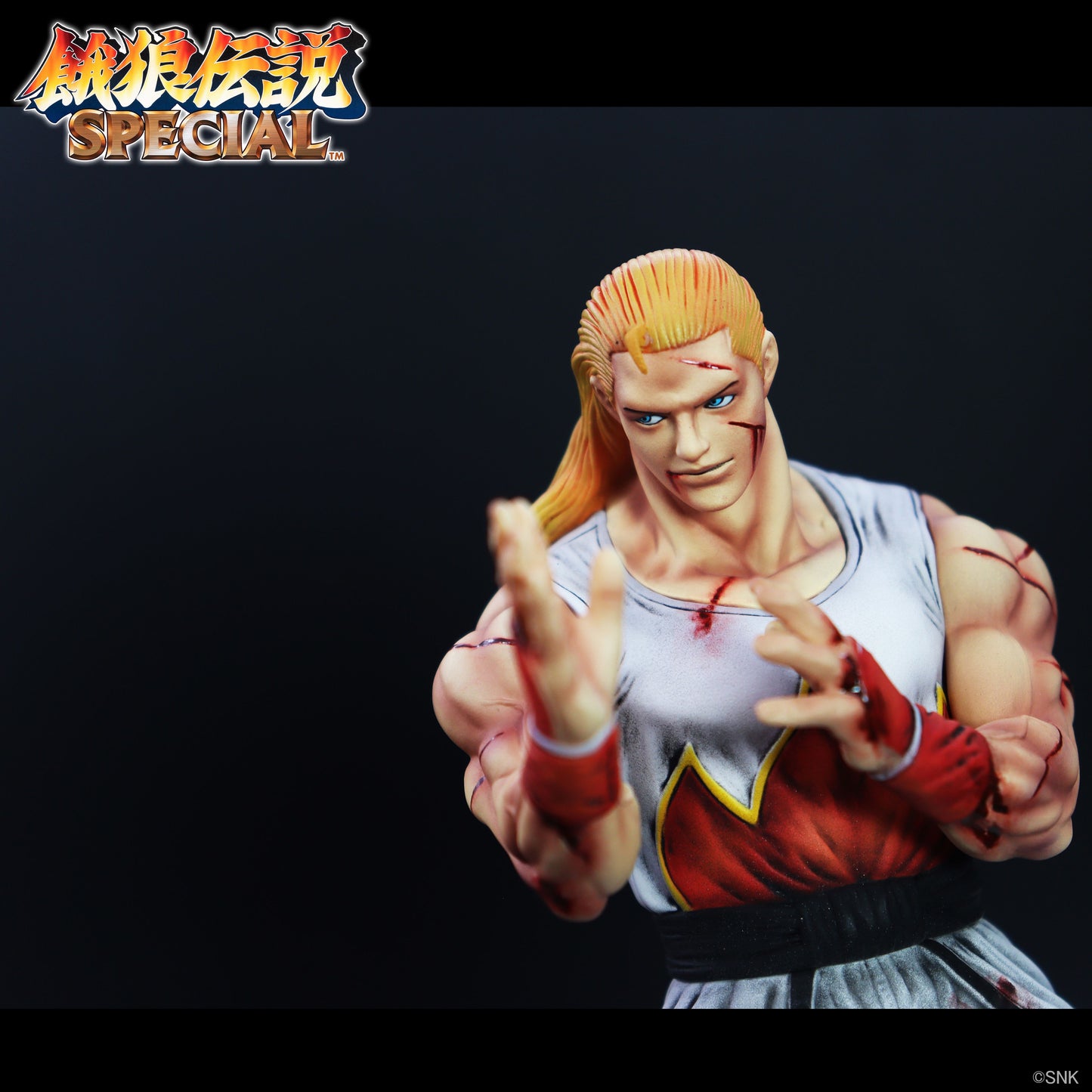 THE KING OF COLLECTORS'24 EX アンディ・ボガード(HGダメージVer.)【予約商品】