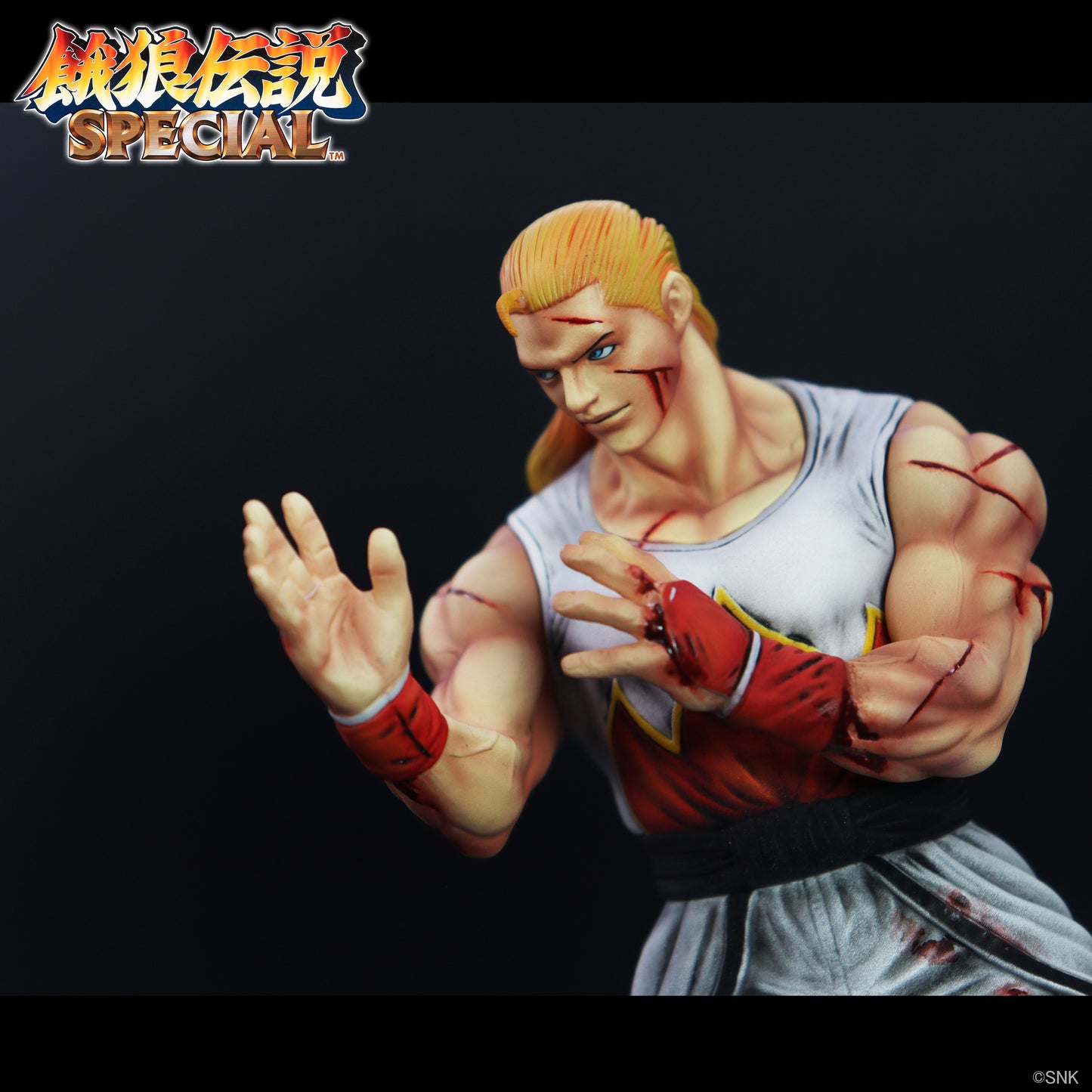 THE KING OF COLLECTORS'24 EX アンディ・ボガード(HGダメージVer.)【予約商品】