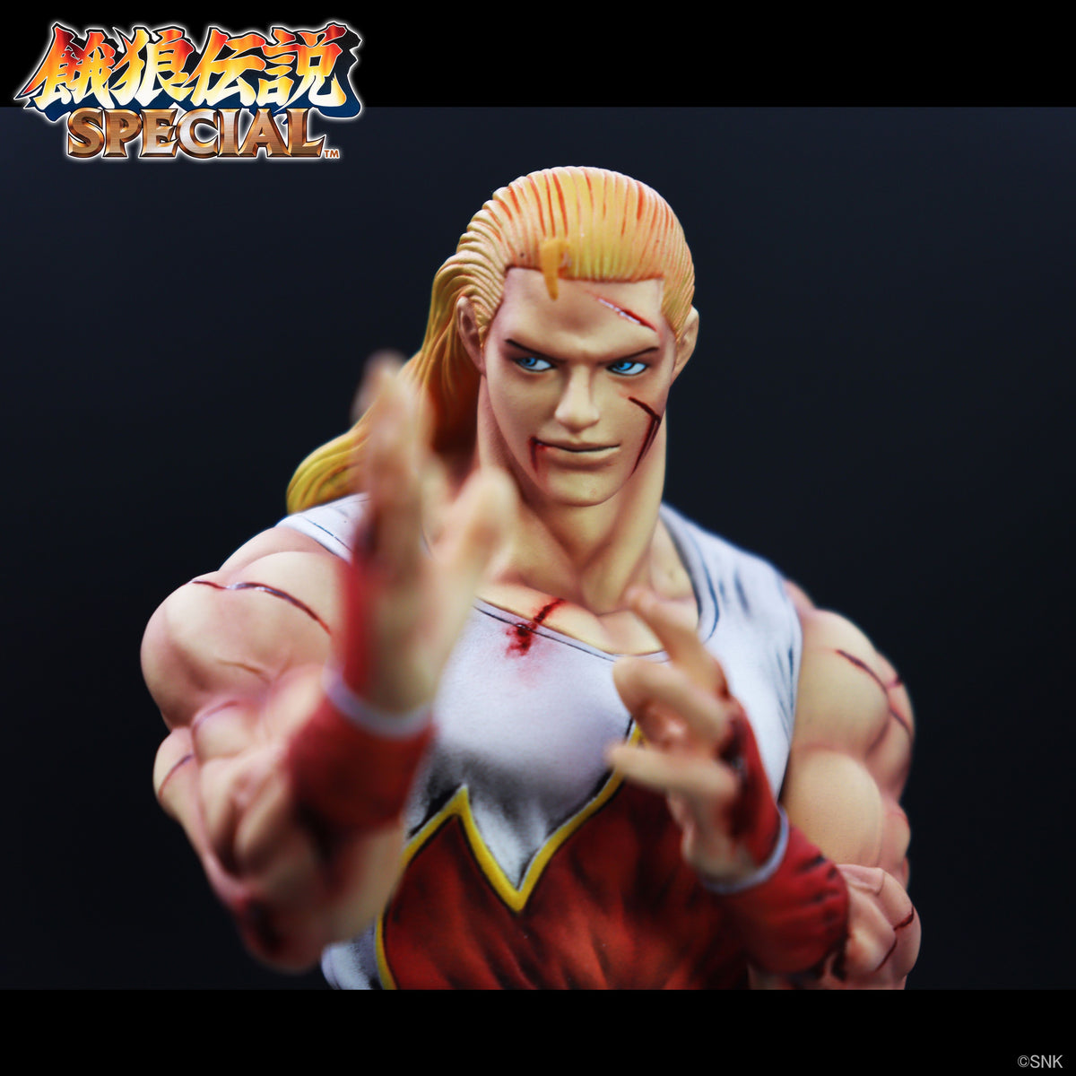 THE KING OF COLLECTORS'24 EX アンディ・ボガード(HGダメージVer.)【予約商品】