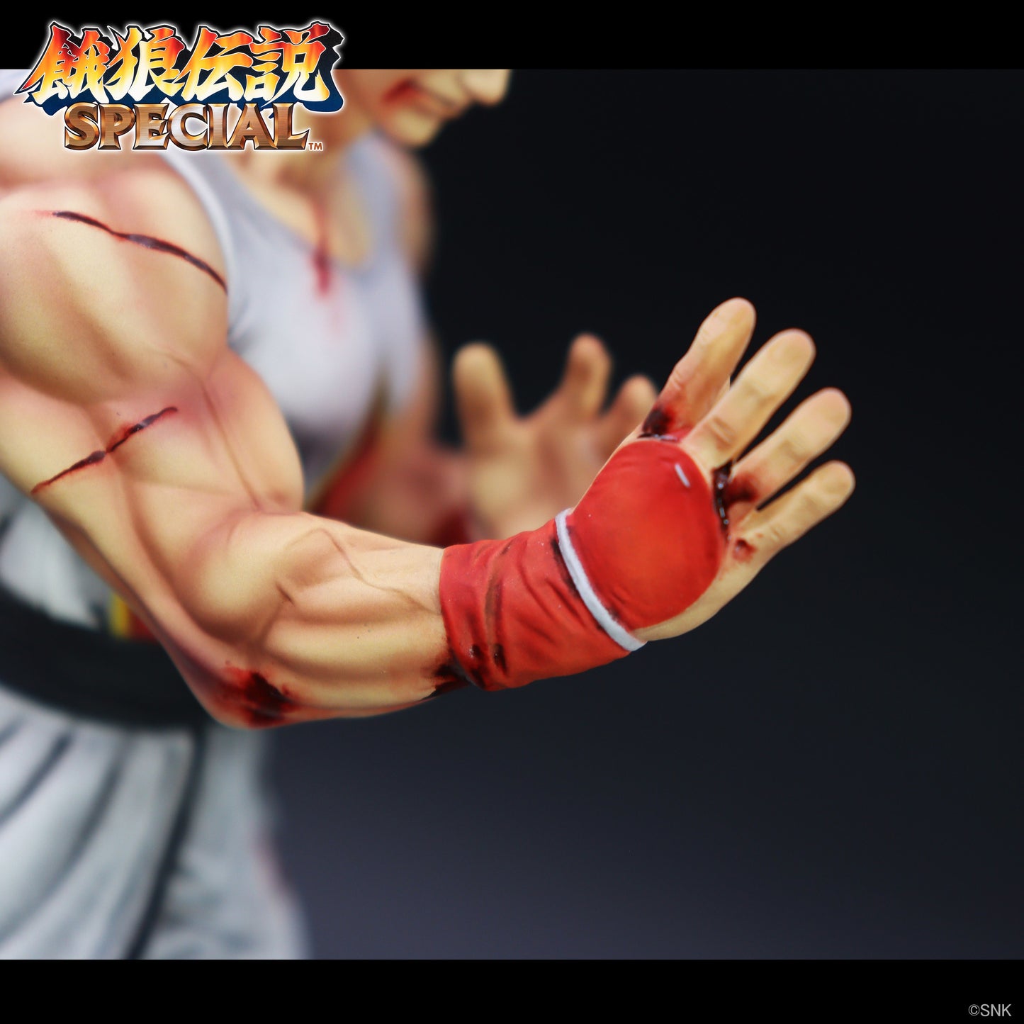THE KING OF COLLECTORS'24 EX アンディ・ボガード(HGダメージVer.)【予約商品】