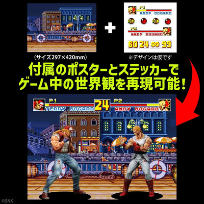 THE KING OF COLLECTORS'24 EX アンディ・ボガード(HGダメージVer.)【予約商品】