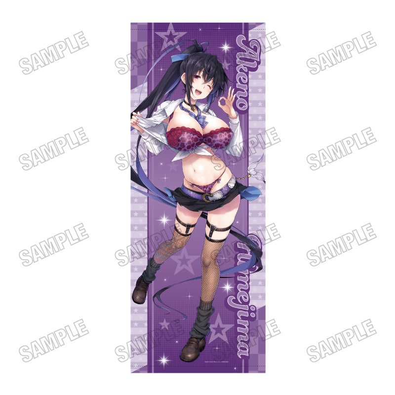 ハイスクールD×D 描き下ろし特大タペストリー アメスクVer. 2 姫島朱乃【予約商品】