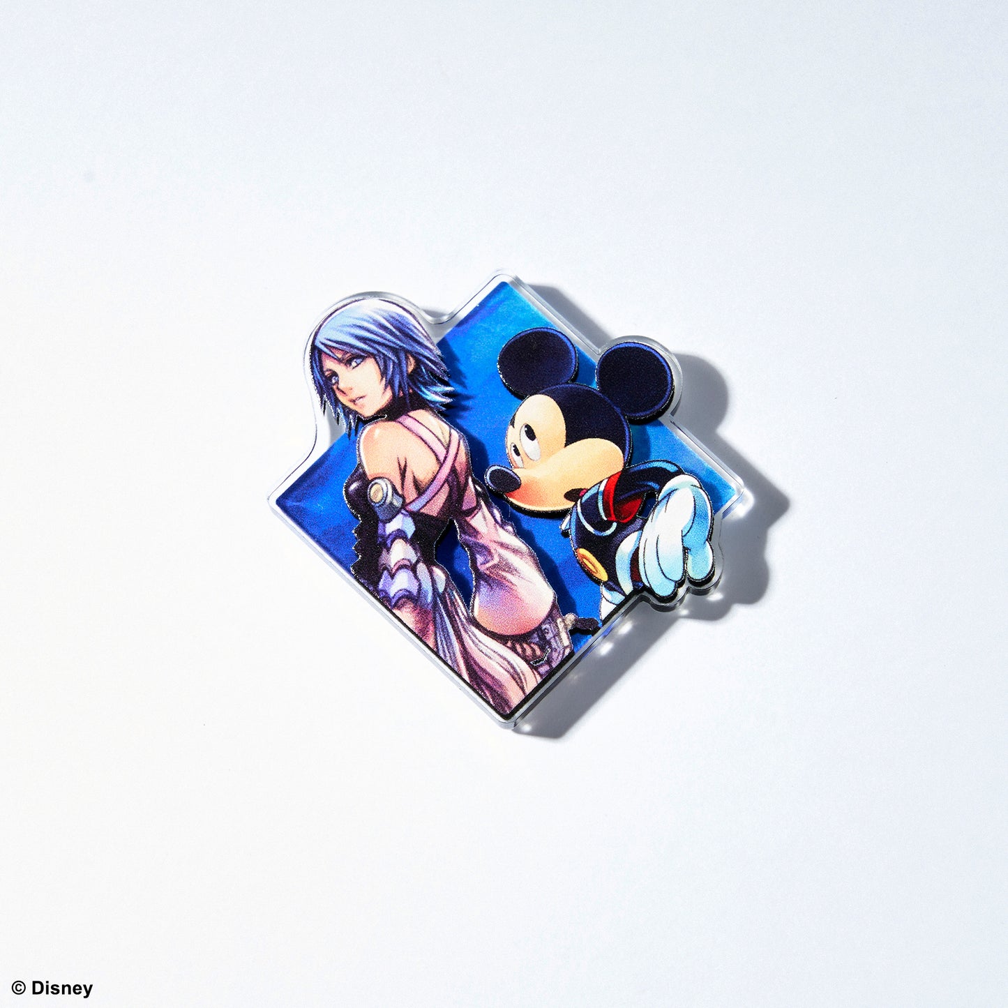 【Box/10】キングダムハーツ アクリルマグネットギャラリー Vol.4【予約商品】