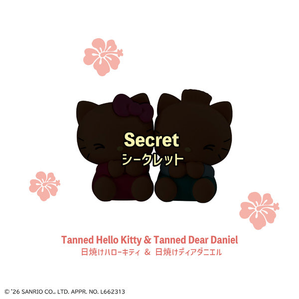 【Box/4】ぴたきゅーと サンリオキャラクターズ【予約商品】