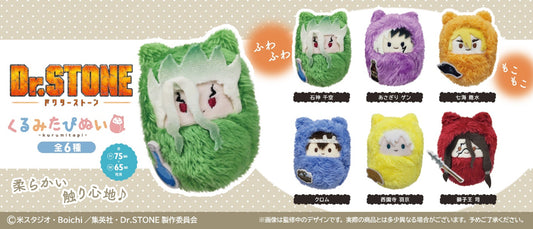 【Box/6】Dr.STONE くるみたぴぬい【再販】【予約商品】