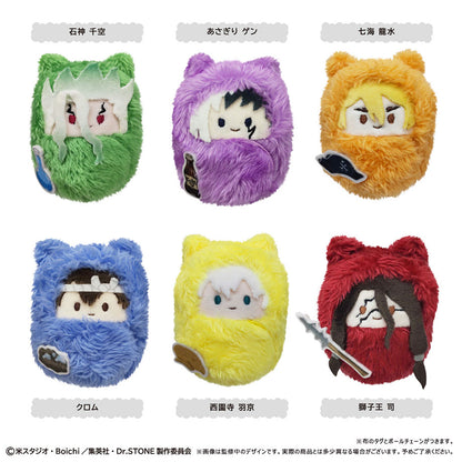 【Box/6】Dr.STONE くるみたぴぬい【再販】【予約商品】