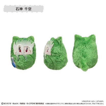【Box/6】Dr.STONE くるみたぴぬい【再販】【予約商品】