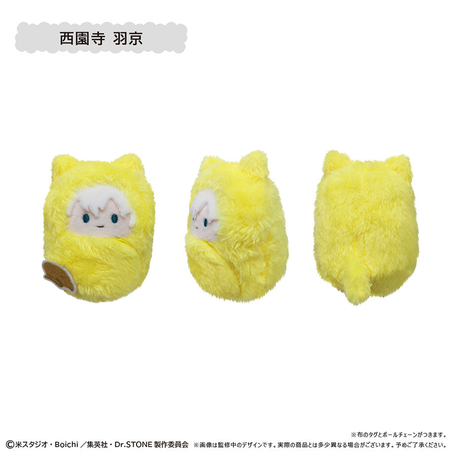 【Box/6】Dr.STONE くるみたぴぬい【再販】【予約商品】