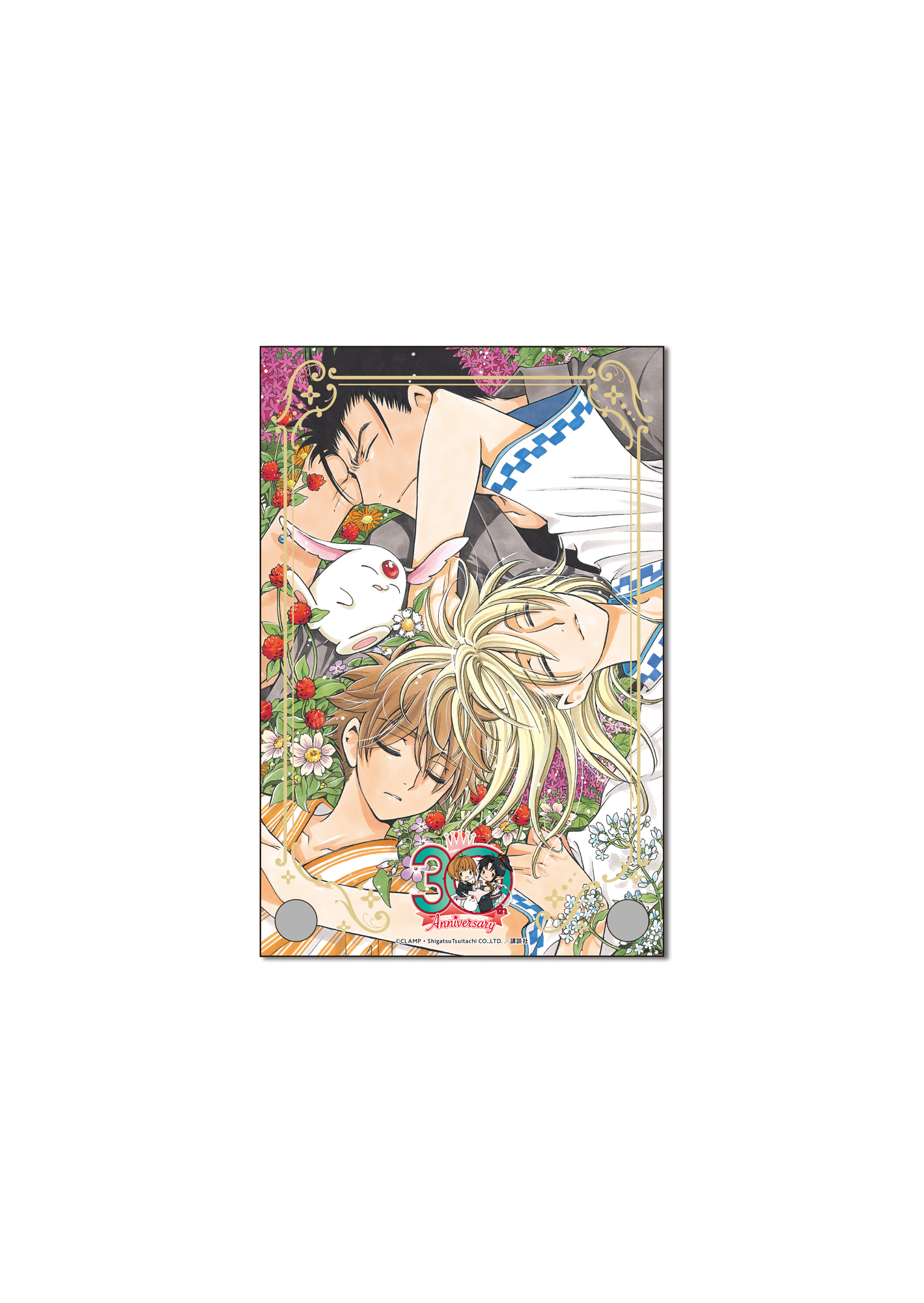 CLAMP画業30周年』アニメイトカフェコラボ B2タペストリー レア CLAMP画業30周年』アニメイトカフェコラボ B2タペストリー レア